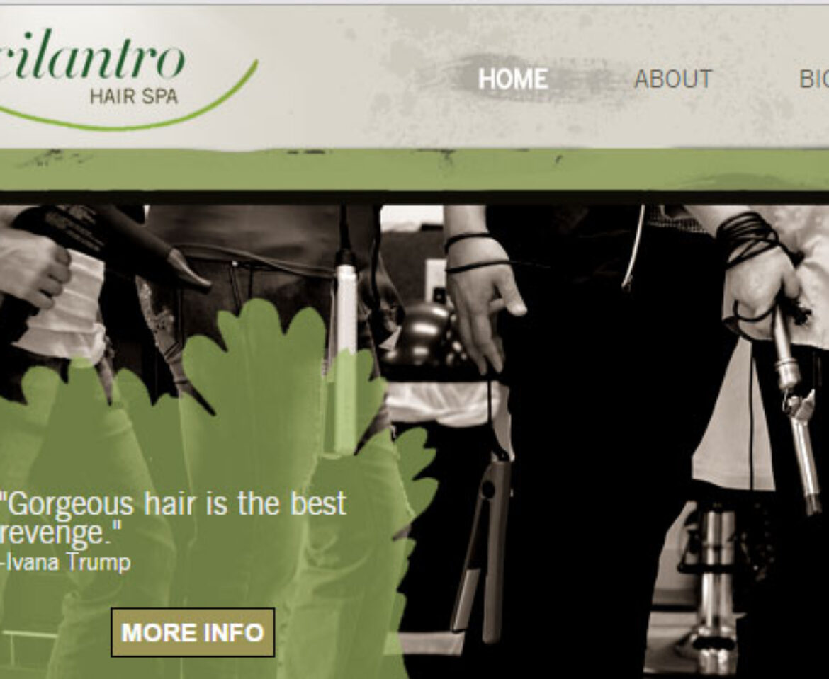 Cilantro Hair Spa