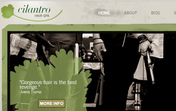 Cilantro Hair Spa